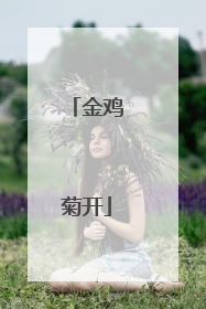金鸡菊开