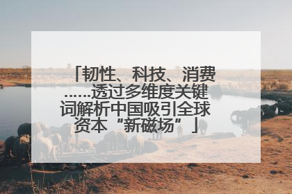 韧性、科技、消费……透过多维度关键词解析中国吸引全球资本“新磁场”