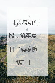 青岛动车段：筑牢夏日“清凉防线”