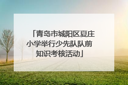 青岛市城阳区夏庄小学举行少先队队前知识考核活动