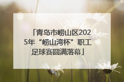 青岛市崂山区2025年“崂山湾杯”职工足球赛圆满落幕