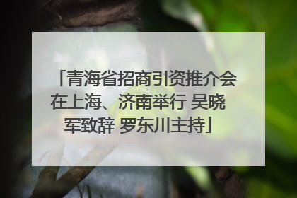 青海省招商引资推介会在上海、济南举行 吴晓军致辞 罗东川主持