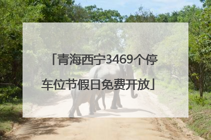 青海西宁3469个停车位节假日免费开放