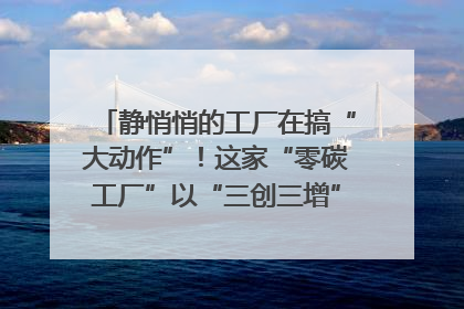 静悄悄的工厂在搞“大动作”！这家“零碳工厂”以“三创三增”探索共富新路径｜网络名人四川行