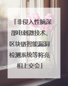 非侵入性脑深部电刺激技术、区块链智能漏洞检测系统等将亮相上交会