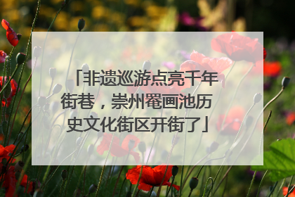 非遗巡游点亮千年街巷，崇州罨画池历史文化街区开街了