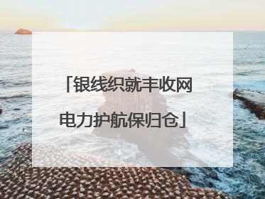 银线织就丰收网 电力护航保归仓