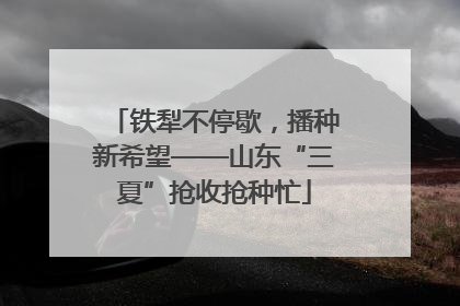 铁犁不停歇，播种新希望——山东“三夏”抢收抢种忙