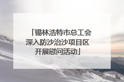 锡林浩特市总工会深入防沙治沙项目区开展慰问活动