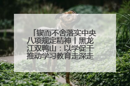 锲而不舍落实中央八项规定精神丨黑龙江双鸭山：以学促干推动学习教育走深走实 从小事入手写好“民生答卷”