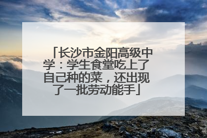 长沙市金阳高级中学：学生食堂吃上了自己种的菜，还出现了一批劳动能手