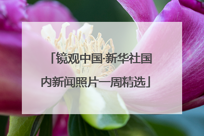 镜观中国·新华社国内新闻照片一周精选