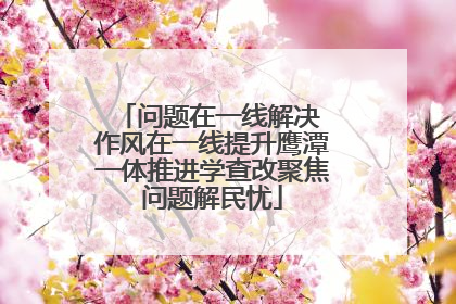 问题在一线解决 作风在一线提升鹰潭一体推进学查改聚焦问题解民忧