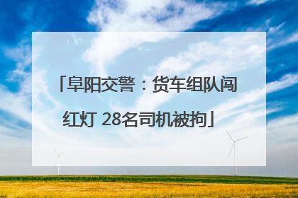 阜阳交警：货车组队闯红灯 28名司机被拘