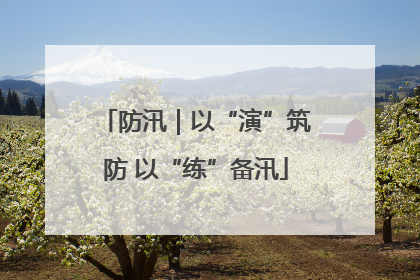 防汛｜以“演”筑防 以“练”备汛