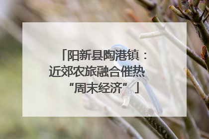 阳新县陶港镇：近郊农旅融合催热“周末经济”