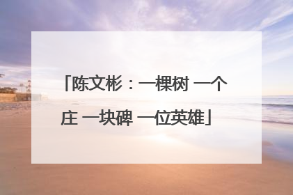 陈文彬：一棵树 一个庄 一块碑 一位英雄