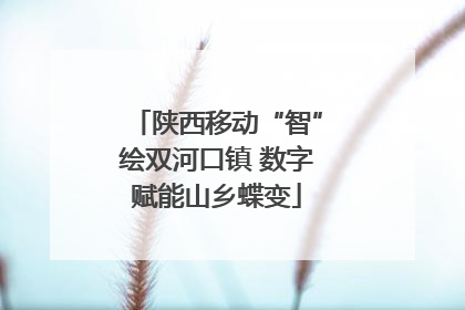 陕西移动“智”绘双河口镇 数字赋能山乡蝶变
