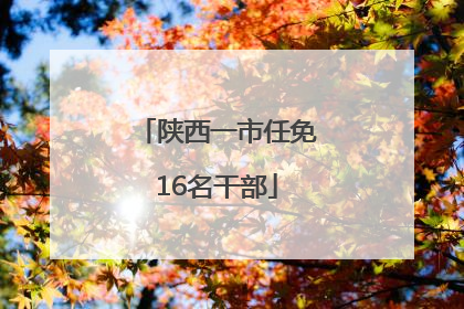 陕西一市任免16名干部