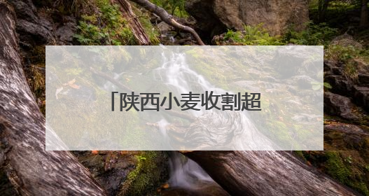陕西小麦收割超八成 多措并举确保颗粒归仓