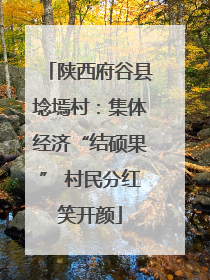 陕西府谷县埝墕村：集体经济“结硕果” 村民分红笑开颜