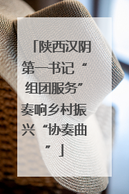 陕西汉阴第一书记“组团服务”奏响乡村振兴“协奏曲”