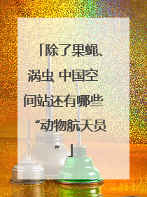 除了果蝇、涡虫 中国空间站还有哪些“动物航天员”