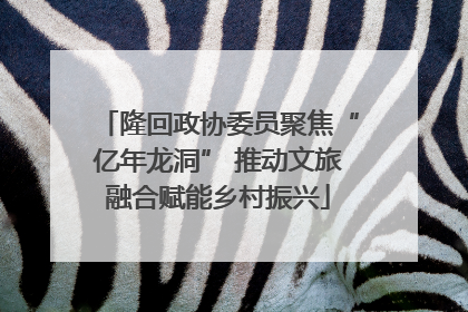 隆回政协委员聚焦“亿年龙洞” 推动文旅融合赋能乡村振兴