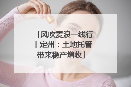 风吹麦浪一线行丨定州：土地托管带来稳产增收