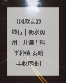 风吹麦浪一线行｜衡水冀州：开镰！科学种植 奏响丰收序曲