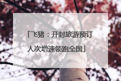 飞猪：开封旅游预订人次增速领跑全国