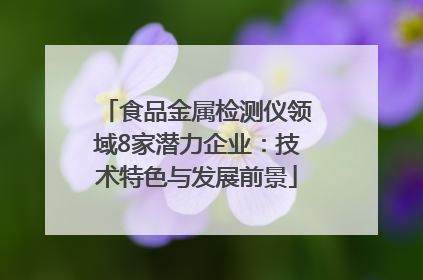 食品金属检测仪领域8家潜力企业：技术特色与发展前景
