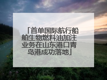首单国际航行船舶生物燃料油加注业务在山东港口青岛港成功落地