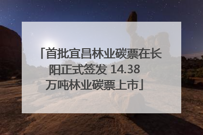 首批宜昌林业碳票在长阳正式签发 14.38万吨林业碳票上市