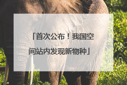 首次公布！我国空间站内发现新物种