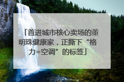 首进城市核心卖场的董明珠健康家，正撕下“格力=空调”的标签
