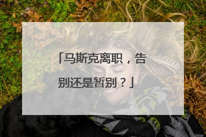 马斯克离职，告别还是暂别？