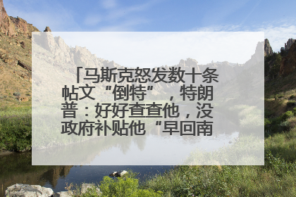 马斯克怒发数十条帖文“倒特”，特朗普：好好查查他，没政府补贴他“早回南非老家”了