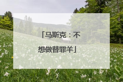 马斯克：不想做替罪羊