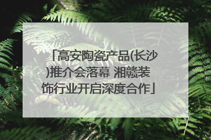 高安陶瓷产品(长沙)推介会落幕 湘赣装饰行业开启深度合作