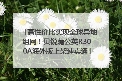 高性价比实现全球异地组网！贝锐蒲公英R300A海外版上架速卖通