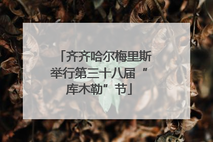齐齐哈尔梅里斯举行第三十八届“库木勒”节