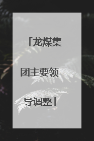 龙煤集团主要领导调整