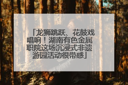 龙狮跳跃、花鼓戏唱响！湖南有色金属职院这场沉浸式非遗游园活动很带感