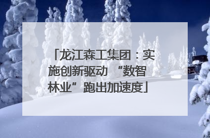 龙江森工集团：实施创新驱动 “数智林业”跑出加速度