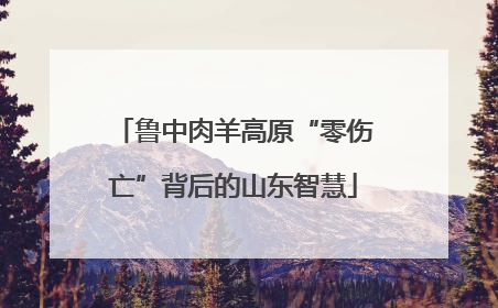 鲁中肉羊高原“零伤亡”背后的山东智慧