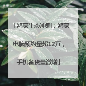 鸿蒙生态冲刺：鸿蒙电脑预约量超12万，手机备货量激增