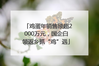 鸡蛋年销售额超2000万元，国企白领返乡抓“鸡”遇