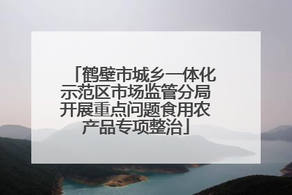 鹤壁市城乡一体化示范区市场监管分局开展重点问题食用农产品专项整治