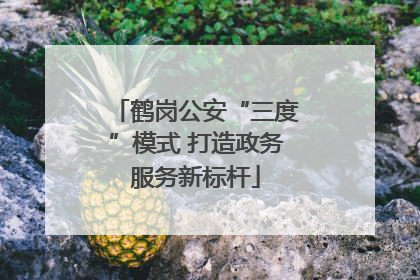鹤岗公安“三度”模式 打造政务服务新标杆